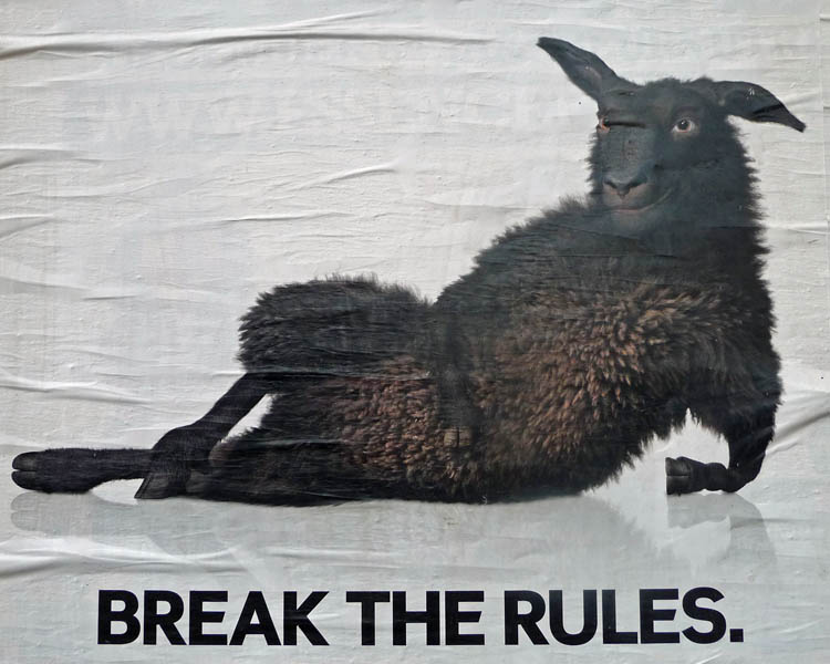 Break the rules